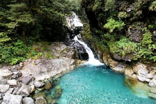 9 Day South to North Island New Zealand Tour from Queenstown