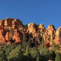 Self-guided Tours & Rentals