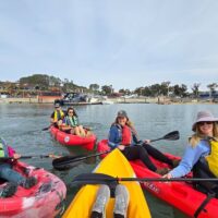 Outdoor Activities
