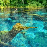 Cultural & Theme Tours