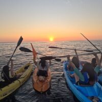 Sailing Trips