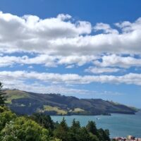 4WD, ATV & Off-Road Tours