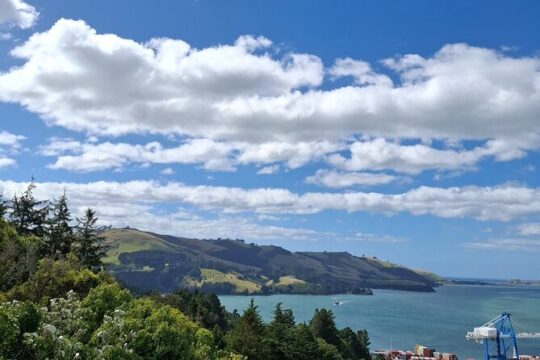 East Coast North Otago Seven Hours Scenic Tour