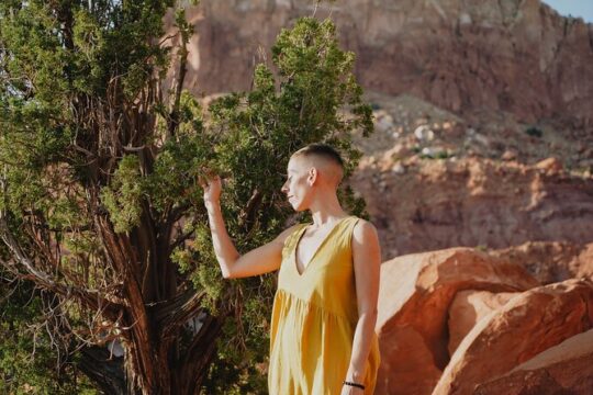Create Energetic Flower Essences and Reconnect with Nature