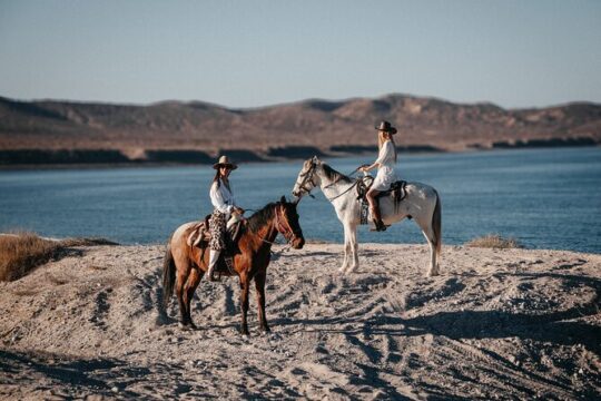 Guided Horseback Ride Through Baja Desert and Beaches