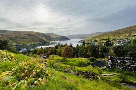 Faroese Cultural Experience