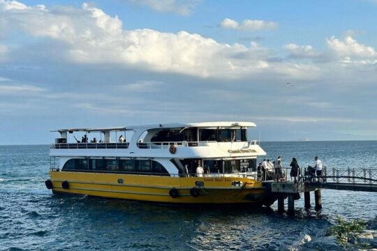 Istanbul: Bosphorus Boat Tour and Golden Horn Cruise