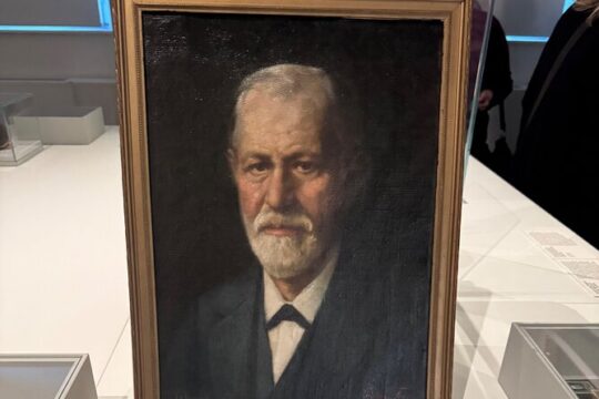 Sigmund Freud Museum and City Tour