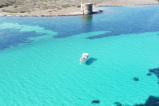 Asinara: Boat tour in the national park with lunch on board