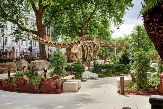 Natural History Museum London English Guided Tour with Admission