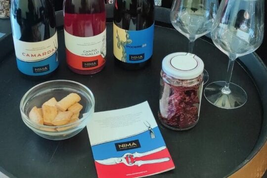 Tasting of three wines of our production