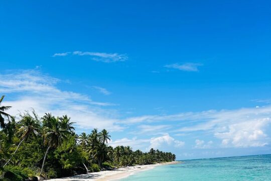 Punta Cana Snorkeling and Boat Party Day Trip