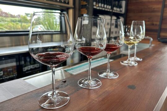 Exclusive Martinborough Wine Tour