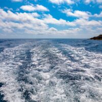 Glass Bottom Boat Tours