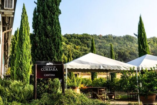 Taste the Wines of Corbara Exploring the Flavors of Umbria