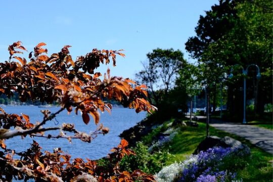 Nanaimo Urban Oasis Trail Walking Tour