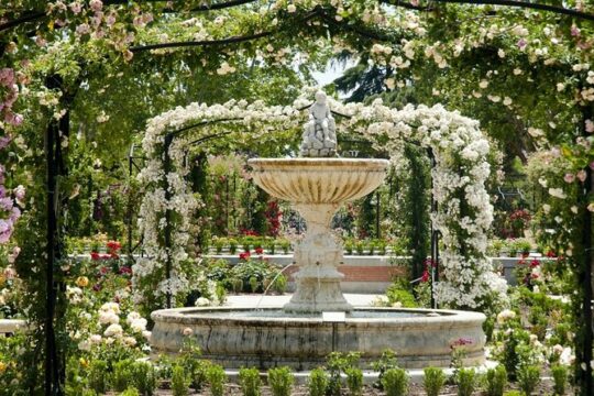 Retiro Park Private Tour with Local Guide
