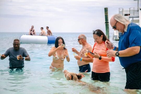 Fast Track Swimming Pigs Encounter