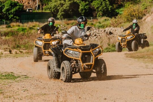 1 Hour Guided Adventure at Quads ATV in Mijas Malaga