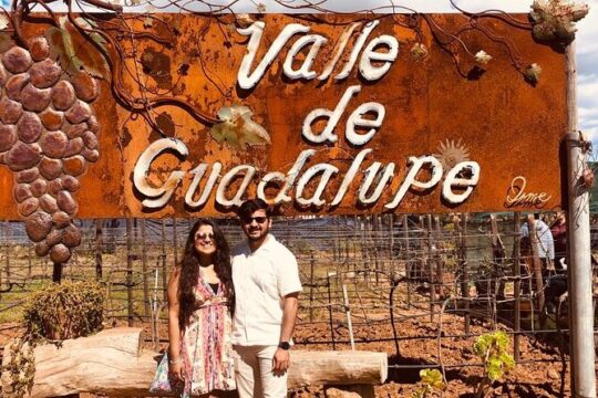 Tour to Wine Country with Tastings, Cheese Store + Massage