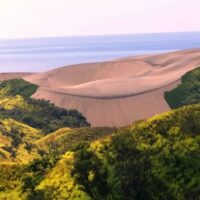 Archaeology Tours