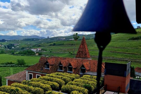 Private Wine Tasting Tour in Douro Valley