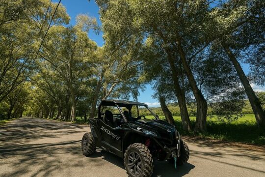 Buggy Safari Adventure in Crete