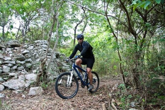 Mountain Bike Jungle Tour and Cenote
