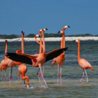 Private & Custom Tours