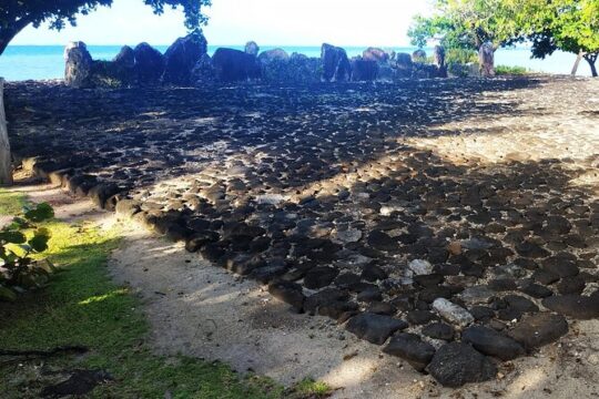 4x4 Tour - Craft and Agritourism Culture in Raiatea