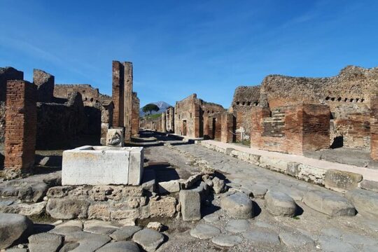 Naples to Pompeii Archaeological Park in wheelchair Private Tour