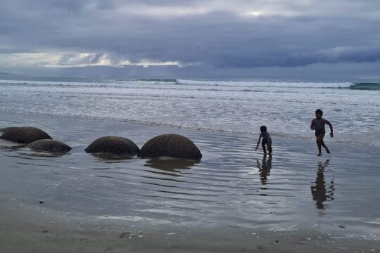 Mt Cook Private Tour from Dunedin
