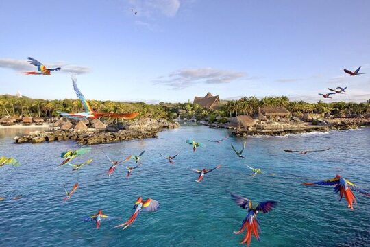 Xcaret Park Day Trip Plus