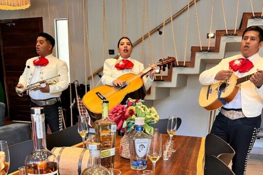 Experience of Tequila and Mezcal