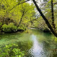 Walking & Biking Tours