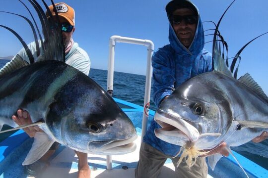 Roosterfish on the Fly