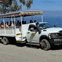 4WD, ATV & Off-Road Tours