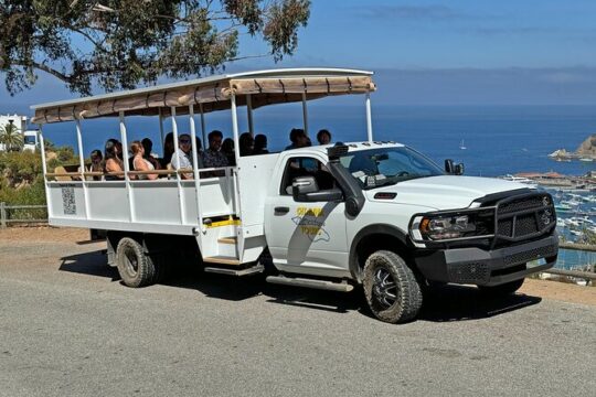 Sunset Summit Catalina Island Shared Tour