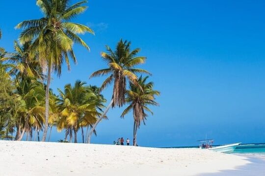 Full-Day Snorkeling Adventure at Catalina Island from Punta Cana