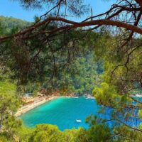 Walking & Biking Tours
