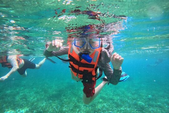 Snorkel at the Reef