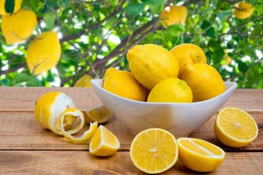 Rome Limoncello Making Class with Pizza and Spritz tasting