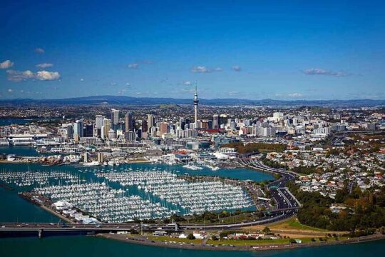 Auckland City and Native Kiwi Encounter Small Group Tour