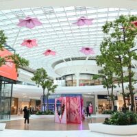 Shopping Tours