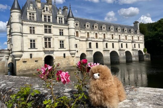 3 Loire Valley Castles and Wine Tasting Guided Tour