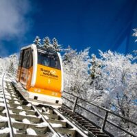 Hop-on Hop-off Tours