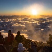 Walking & Biking Tours
