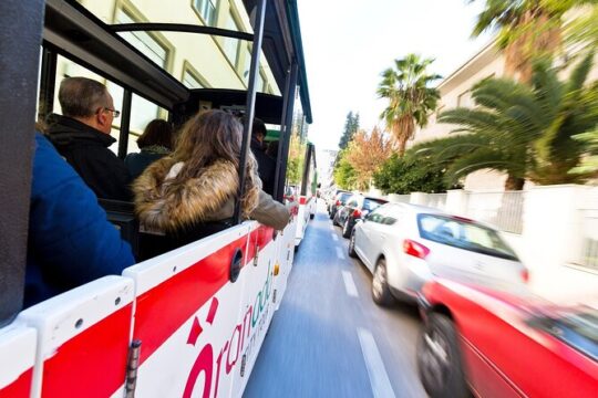 Granada City Tour Hop on and Hop off Train