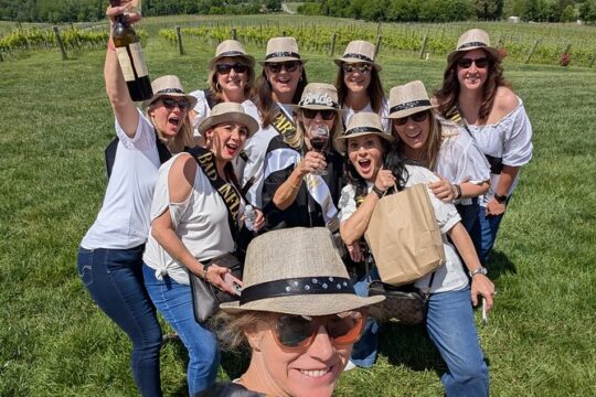 2 Vineyard Wine Tour of Western NC