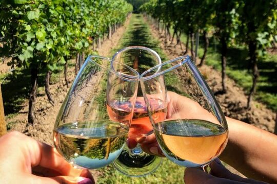 Kusadasi Port Private Wine Tasting and Ephesus Tour